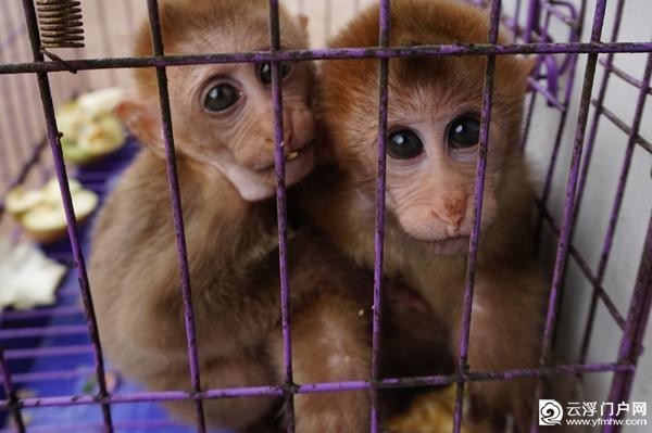 ֵʳҰＯ ⨺ﱻɱֵʳҰＯ ⨺ﱻɱ