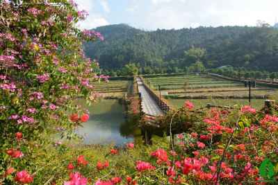 “广东最美森林”云浮南山森林公园和大河湿地公园投票! “广东最美森林”云浮南山森林公园和大河湿地公园投票!
