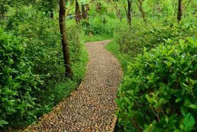 “广东最美森林”云浮南山森林公园和大河湿地公园投票! “广东最美森林”云浮南山森林公园和大河湿地公园投票!