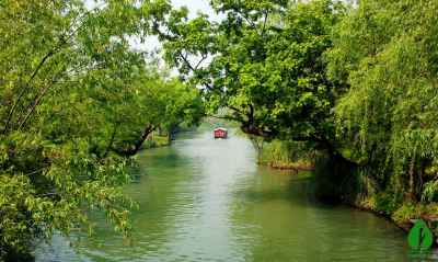 “广东最美森林”云浮南山森林公园和大河湿地公园投票! “广东最美森林”云浮南山森林公园和大河湿地公园投票!