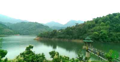 “广东最美森林”云浮南山森林公园和大河湿地公园投票! “广东最美森林”云浮南山森林公园和大河湿地公园投票!