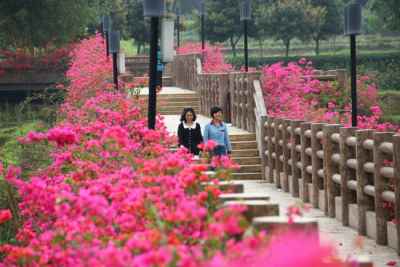 “广东最美森林”云浮南山森林公园和大河湿地公园投票! “广东最美森林”云浮南山森林公园和大河湿地公园投票!